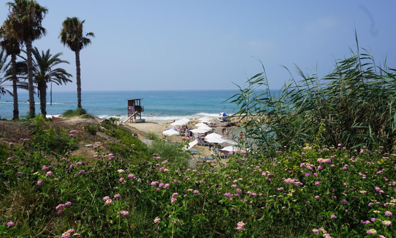 Paphos Gardens, Near Beach Exterior photo